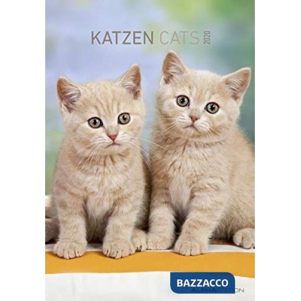 Calendario da muro 23,7 x 34 cm cats 2020