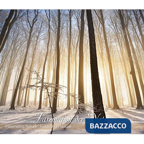 Calendario da muro 33,5 x 29 cm fascinating nature 2020