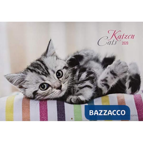 Calendario da muro 42 x 30 cm cats 2020