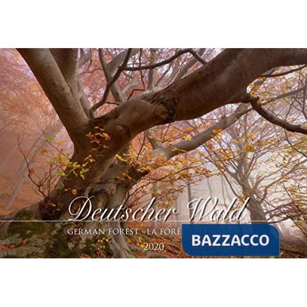 Calendario da muro 49,5 x 34 cm german forest 2020