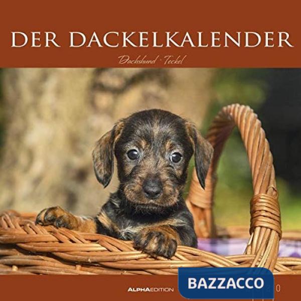 Calendario da muro 33 x 33 cm der dackelkalender 2020