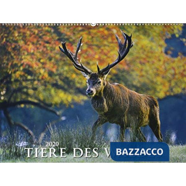 Calendario da muro 56 x 42 cm tiere des waldes 2020