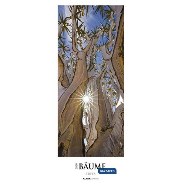 Calendario da muro 25 x 69 cm trees 2020