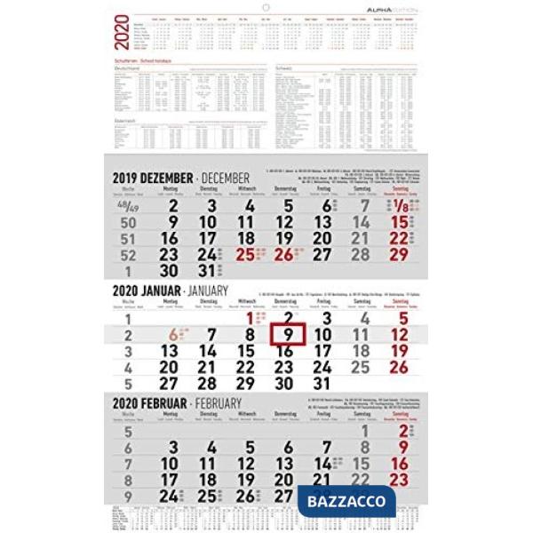 Calendario 2020 olandese da muro 3 mesi 30x49 cm