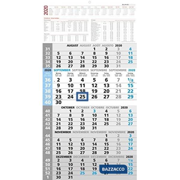 Calendario 2020 olandese da muro 5 mesi 33x63,5 cm