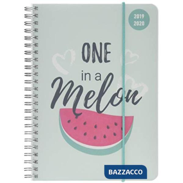 Collegetimer A5 melon ringbuch 2019-2020