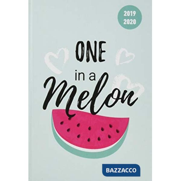 Collegetimer pocket melon 2019-2020