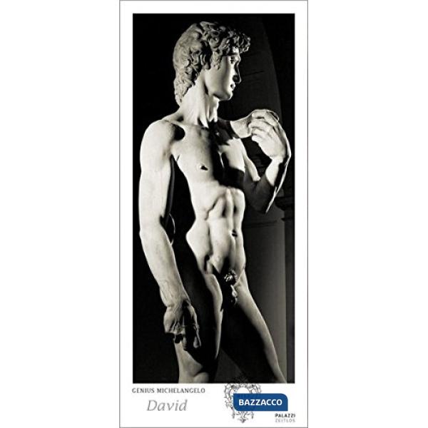 Calendario perpetuo 46x100cm genius Michelangelo David