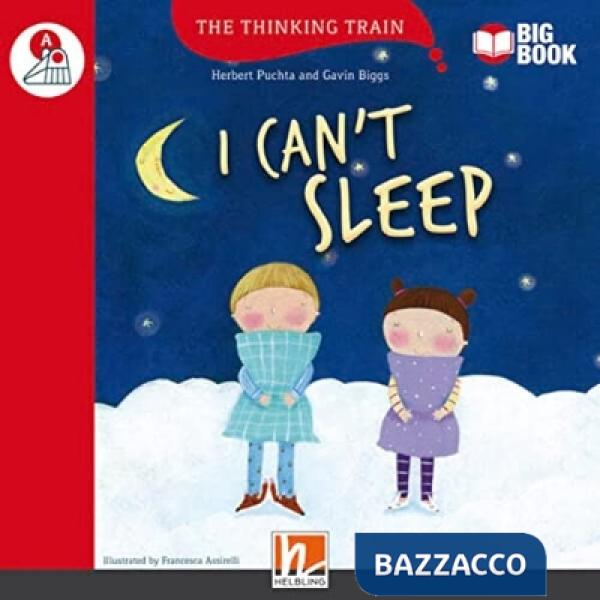 TRAIN A I CAN'T SLEEP BIG BOOK