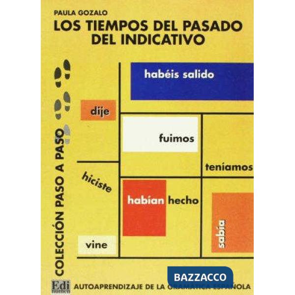 LOS TIEMPOS DEL PASADO DEL INDICATIVO