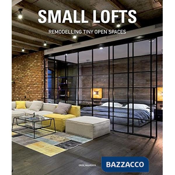 Small lofts. Remodelling tiny open spaces. Ediz. illustrata