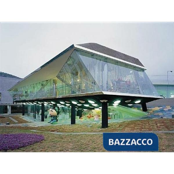 Verb conditioning. Ediz. illustrata