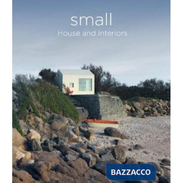 Small house and interiors