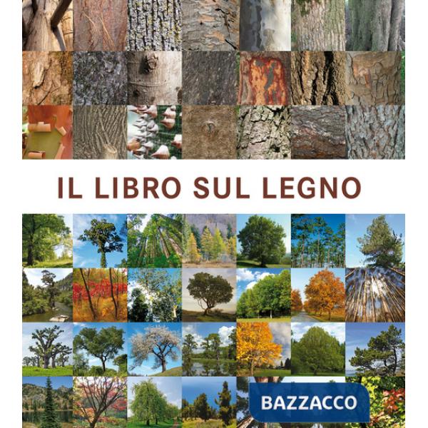 Libro sul legno (Il)
