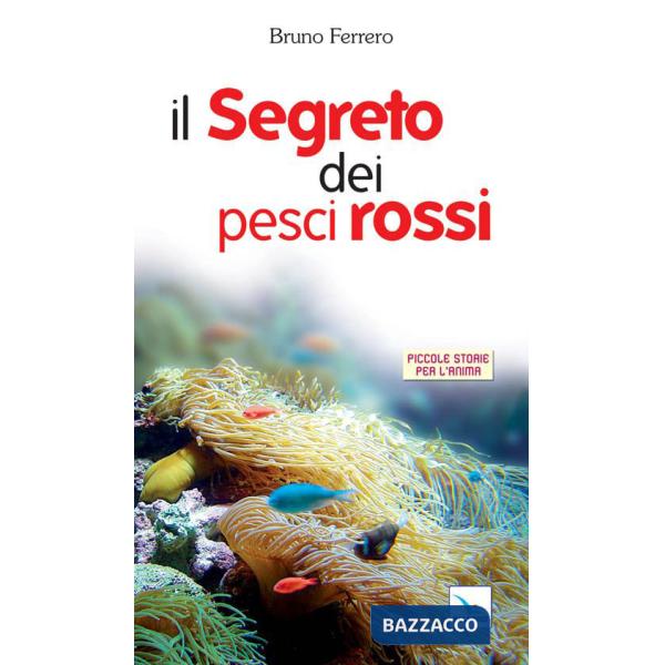 Segreto dei pesci rossi (Il)
