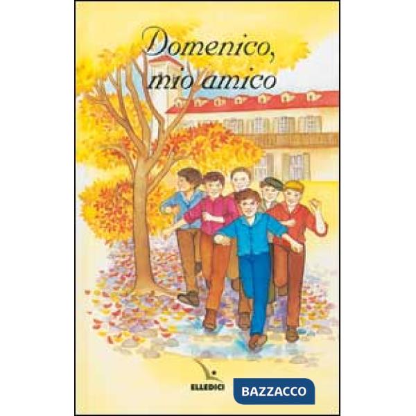 Domenico, mio amico