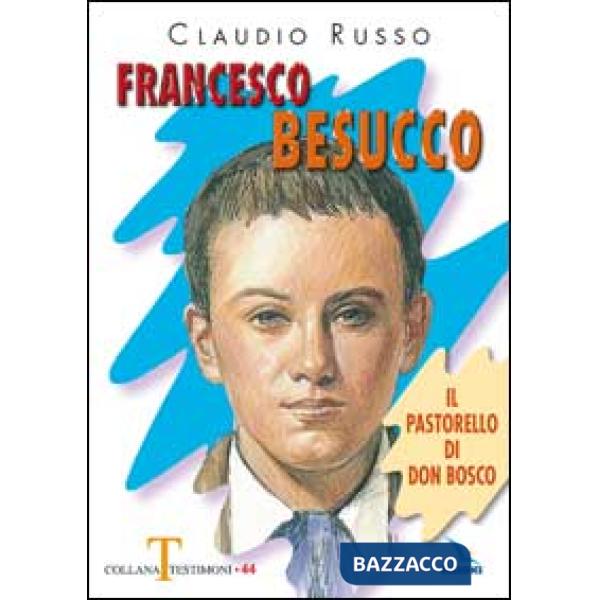 Francesco Besucco. Il pastorello di Don Bosco. Vol. 2