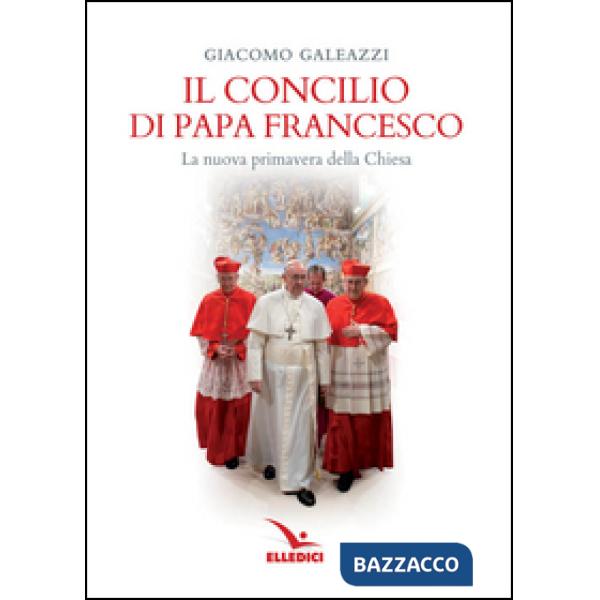 Concilio di papa Francesco. La nuova primavera della Chiesa (Il)