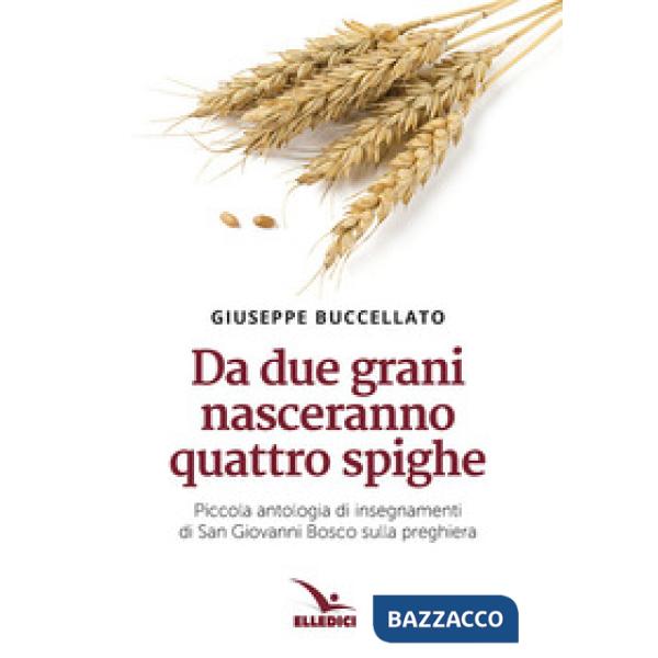Da due grani nasceranno quattro spighe. Piccola antologia di insegnamenti di San Giovanni Bosco sulla preghiera