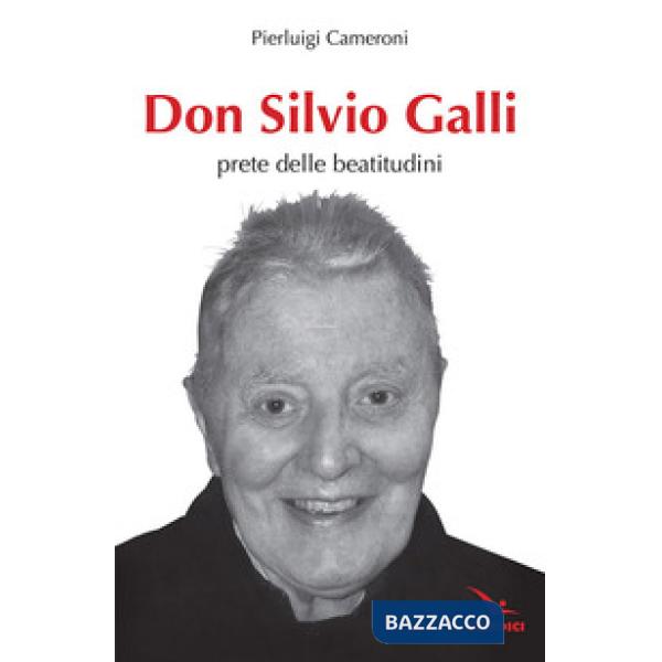 Don Silvio Galli. Prete delle Beatitudini