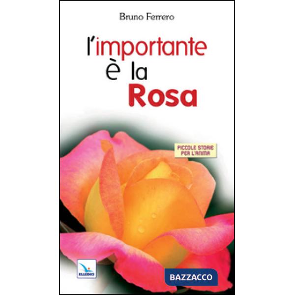 Importante è la rosa (L')