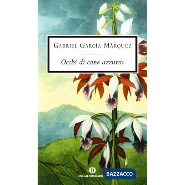 Occhi di un cane azzurro