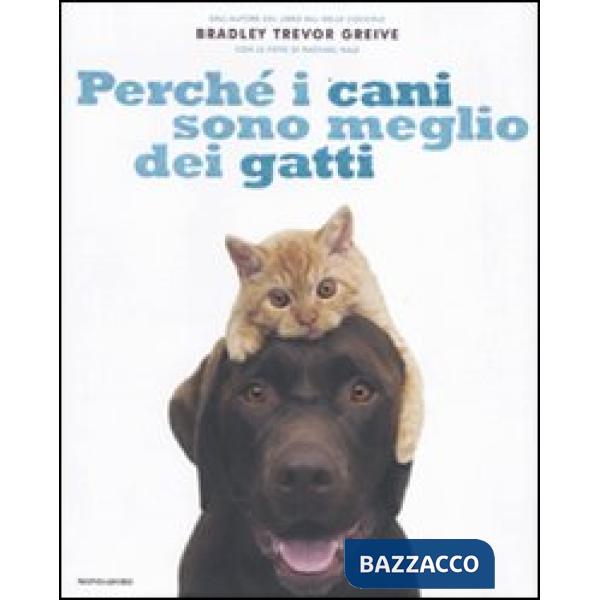 Perché i cani sono meglio dei gatti