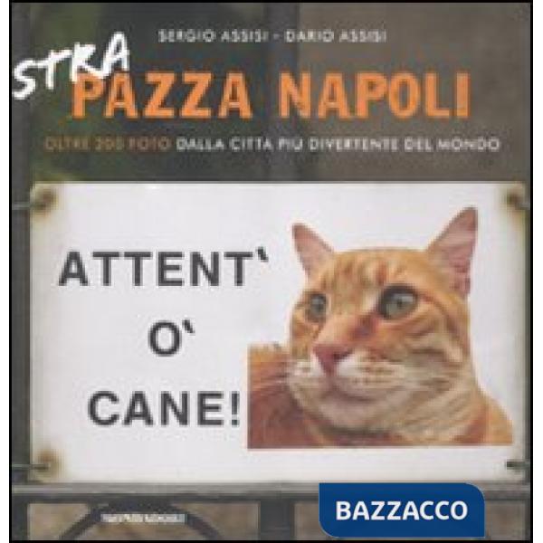 Strapazza Napoli. Oltre 200 foto dalla città più divertente del mondo. Vol. 2