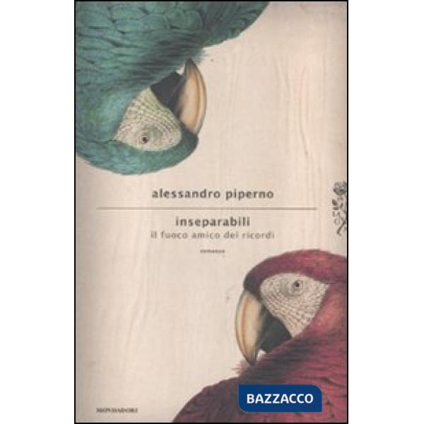 Inseparabili. Il fuoco amico dei ricordi
