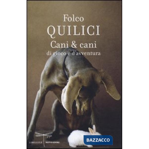 Cani & cani di gioco e d'avventura