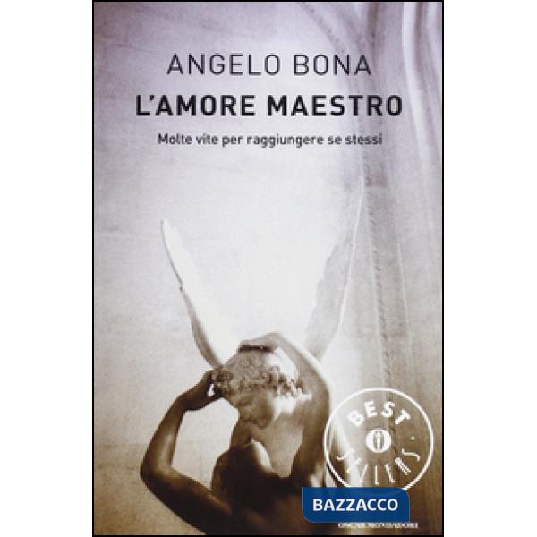 Amore maestro. Molte vite per raggiungere se stessi (L')