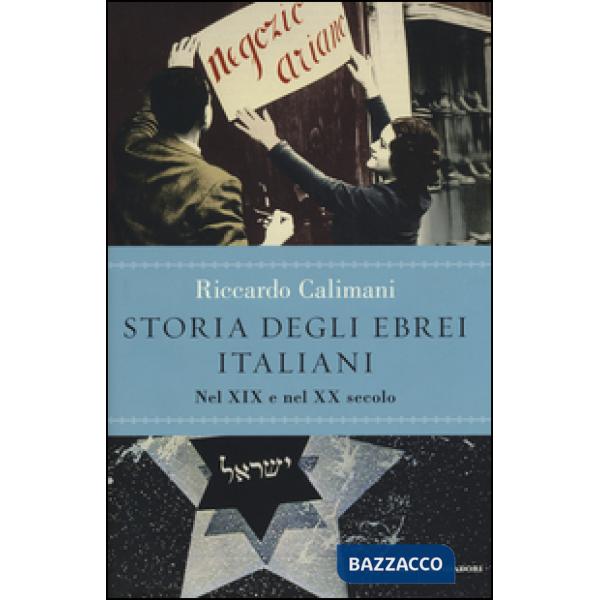 Storia degli ebrei italiani. Vol. 3: Nel XIX e nel XX secolo.