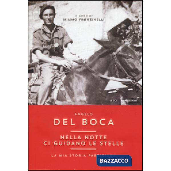 Nella notte ci guidano le stelle. La mia storia partigiana