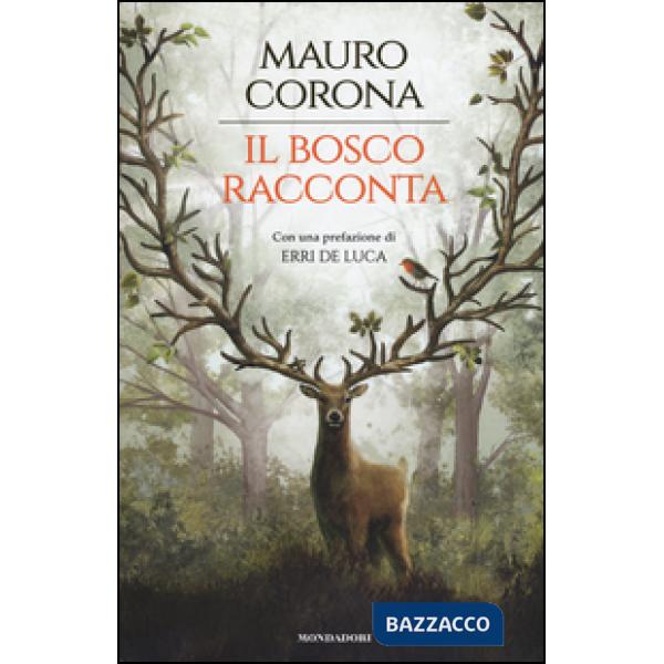Bosco racconta: Storie del bosco antico-Torneranno le quattro stagioni (Il)
