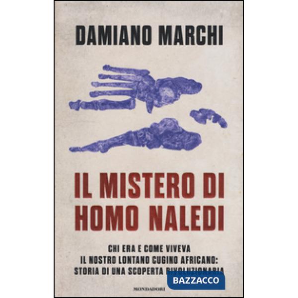 Mistero di Homo naledi. Chi era e come viveva il nostro lontano cugino africano: