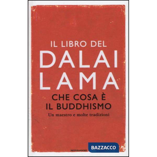 Che cosa è il buddhismo. Un maestro e molte tradizioni