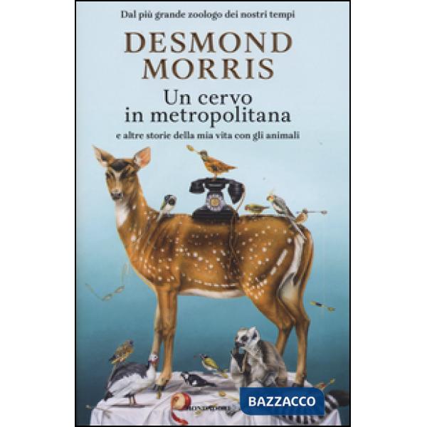 Cervo in metropolitana (Un)