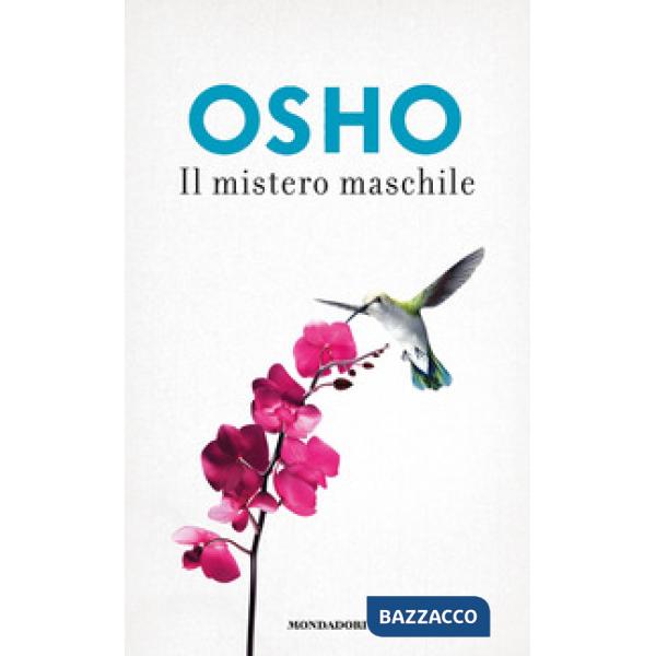 Mistero maschile (Il)