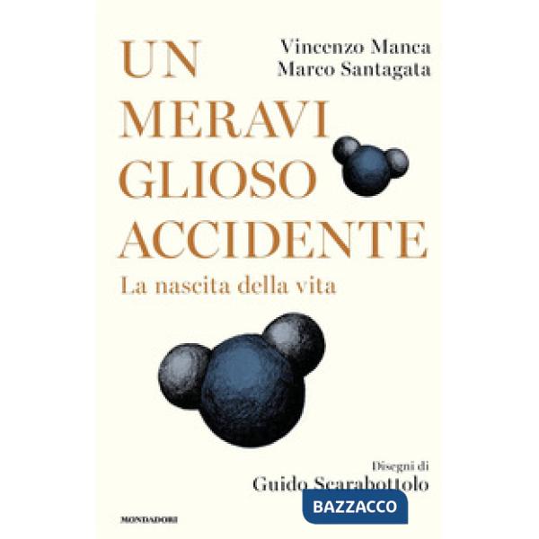 Meraviglioso accidente. La nascita della vita (Un)