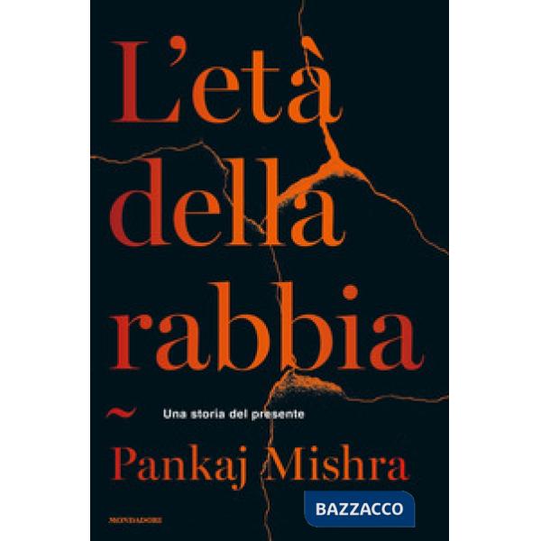 Età della rabbia. Una storia del presente (L')