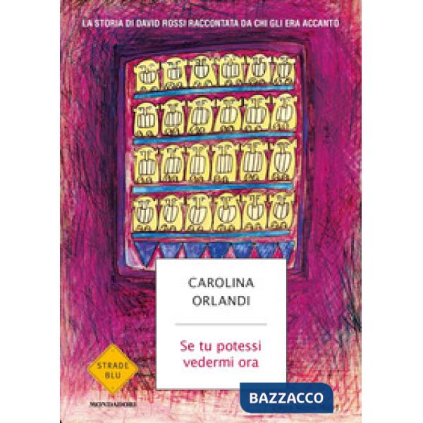 Se tu potessi vedermi ora. La storia di David Rossi raccontata da chi gli era accanto