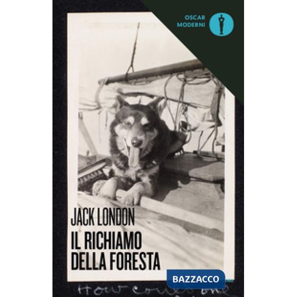 Richiamo della foresta (Il)