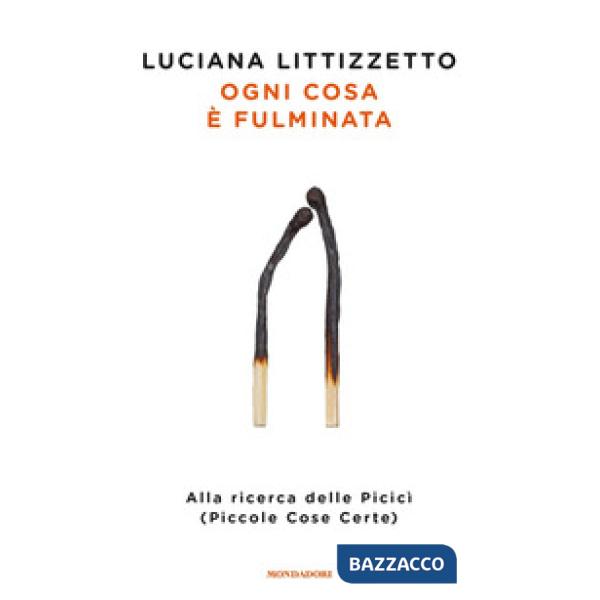 Ogni cosa è fulminata. Alla ricerca delle Picicì (Piccole Cose Certe)