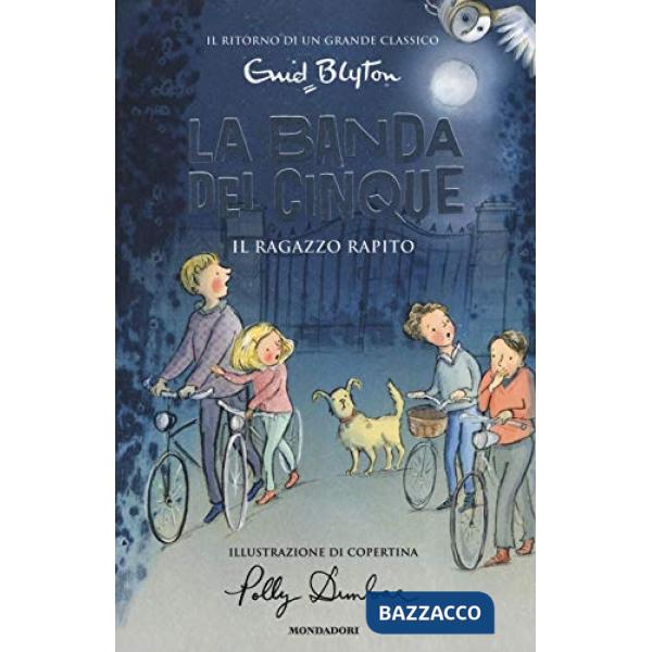 Ragazzo rapito. La banda dei cinque (Il). Vol. 8