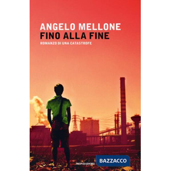 Fino alla fine. Romanzo di una catastrofe