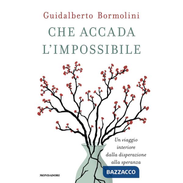 Che accada l'impossibile. Un viaggio interiore dalla disperazione alla speranza