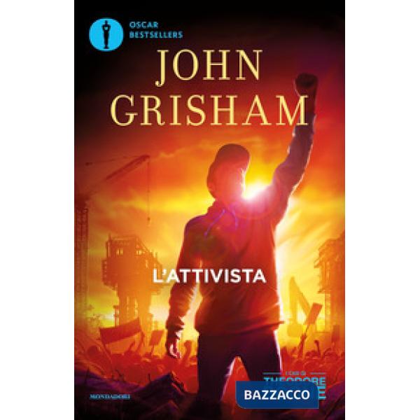 Attivista. I casi di Theodore Boone (L'). Vol. 4