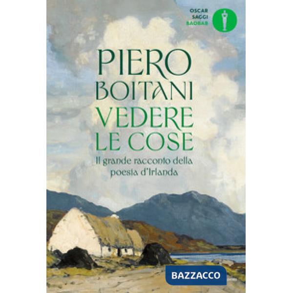 Vedere le cose. Il grande racconto della poesia d'Irlanda