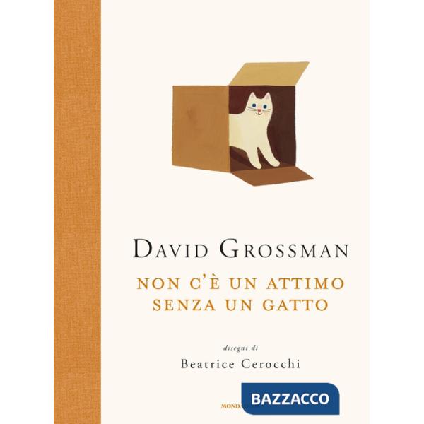 Non c'è un attimo senza un gatto