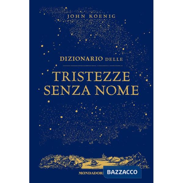 Dizionario delle tristezze senza nome